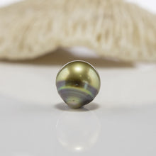 Load image into Gallery viewer, Civa Fiji Loose Saltwater Pearl with Grade Certificate #3046 - FJD$