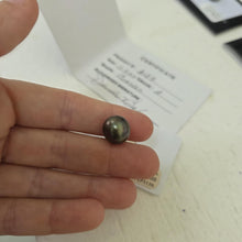 Load image into Gallery viewer, Fiji Loose Saltwater Pearl with Grade Certificate #3139 - FJD$