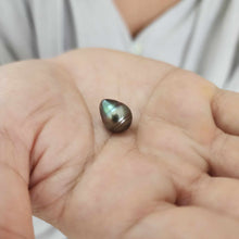 Load image into Gallery viewer, Fiji Loose Saltwater Pearl with Grade Certificate #3179 - FJD$