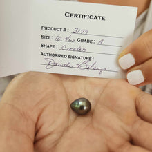 Load image into Gallery viewer, Fiji Loose Saltwater Pearl with Grade Certificate #3179 - FJD$