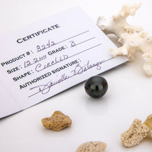 Load image into Gallery viewer, Fiji Loose Saltwater Pearl with Grade Certificate #3242 - FJD$