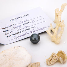 Load image into Gallery viewer, READY TO SHIP Graded Civa Fiji Pearl Necklace - 14k Solid Gold FJD$