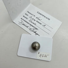 Load image into Gallery viewer, Fiji Loose Saltwater Pearl with Grade Certificate #4001 - FJD$
