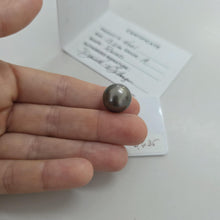 Load image into Gallery viewer, Fiji Loose Saltwater Pearl with Grade Certificate #4001 - FJD$