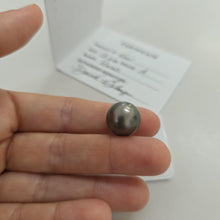 Load image into Gallery viewer, Fiji Loose Saltwater Pearl with Grade Certificate #4001 - FJD$