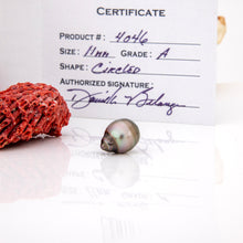 Load image into Gallery viewer, Fiji Loose Saltwater Pearl with Grade Certificate #4046 - FJD$