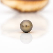 Load image into Gallery viewer, READY TO SHIP Unisex Civa Fiji Saltwater Pearl Trio Necklace - Rubber FJD$