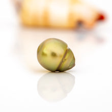 Load image into Gallery viewer, READY TO SHIP Graded Civa Fiji Pearl Necklace - 14k Solid Gold FJD$