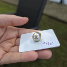 Load image into Gallery viewer, Fiji Loose Saltwater Pearl with Grade Certificate #4178 - FJD$