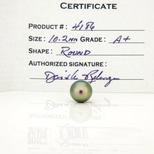 Load image into Gallery viewer, READY TO SHIP Civa Fiji Saltwater Graded Pearl Hoop Earrings - 925 Sterling Silver FJD$