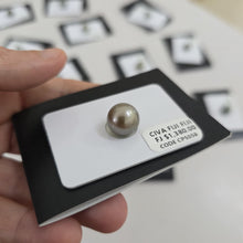 Load image into Gallery viewer, Fiji Loose Saltwater Pearl with Grade Certificate #5058 - FJD$