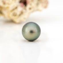 Load image into Gallery viewer, Single pearl on a white background with blurred shell in the background