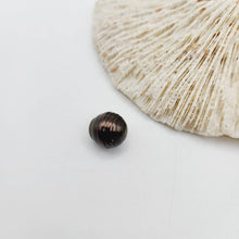 Load image into Gallery viewer, Civa Fiji Saltwater Loose Pearl - FJD$