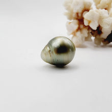 Load image into Gallery viewer, Civa Fiji Saltwater Loose Pearl - FJD$