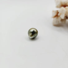 Load image into Gallery viewer, Civa Fiji Saltwater Loose Pearl - FJD$