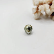 Load image into Gallery viewer, Civa Fiji Saltwater Loose Pearl - FJD$