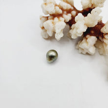 Load image into Gallery viewer, Civa Fiji Saltwater Loose Pearl - FJD$