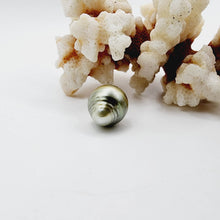 Load image into Gallery viewer, Civa Fiji Saltwater Loose Pearl - FJD$