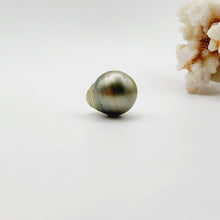 Load image into Gallery viewer, Civa Fiji Saltwater Loose Pearl - FJD$