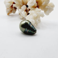 Load image into Gallery viewer, Civa Fiji Saltwater Loose Pearl - FJD$
