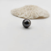 Load image into Gallery viewer, Civa Fiji Saltwater Loose Pearl - FJD$