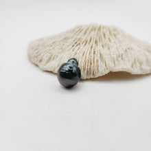 Load image into Gallery viewer, Civa Fiji Saltwater Loose Pearl - FJD$