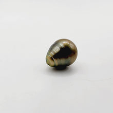Load image into Gallery viewer, Civa Fiji Saltwater Loose Pearl - FJD$