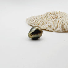 Load image into Gallery viewer, Civa Fiji Saltwater Loose Pearl - FJD$