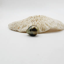 Load image into Gallery viewer, Civa Fiji Saltwater Loose Pearl - FJD$