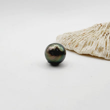 Load image into Gallery viewer, Civa Fiji Saltwater Loose Pearl - FJD$