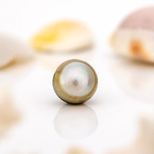 Load image into Gallery viewer, Civa Fiji Saltwater Loose Pearl - FJD$
