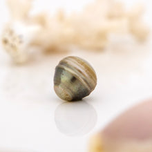 Load image into Gallery viewer, Civa Fiji Saltwater Loose Pearl - FJD$