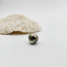 Load image into Gallery viewer, Civa Fiji Saltwater Loose Pearl - FJD$