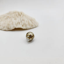 Load image into Gallery viewer, Civa Fiji Saltwater Loose Pearl - FJD$
