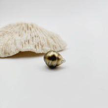 Load image into Gallery viewer, Civa Fiji Saltwater Loose Pearl - FJD$