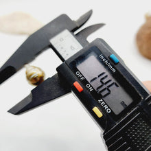 Load image into Gallery viewer, Civa Fiji Saltwater Loose Pearl - FJD$