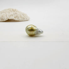 Load image into Gallery viewer, CONTACT US TO RECREATE THIS SOLD OUT STYLE Civa Fiji Pearl Necklace Strand - 14k Gold Fill FJD$