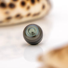 Load image into Gallery viewer, Civa Fiji Saltwater Loose Pearl - FJD$