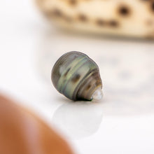 Load image into Gallery viewer, Civa Fiji Saltwater Loose Pearl - FJD$