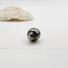 Load image into Gallery viewer, Civa Fiji Saltwater Loose Pearl - FJD$