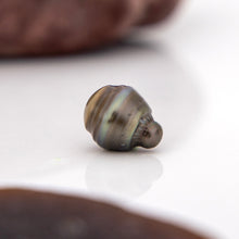 Load image into Gallery viewer, Civa Fiji Saltwater Loose Pearl - FJD$