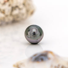 Load image into Gallery viewer, Civa Fiji Saltwater Loose Pearl - FJD$
