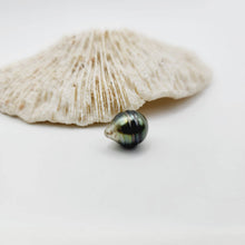 Load image into Gallery viewer, Civa Fiji Saltwater Loose Pearl - FJD$