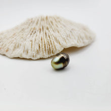 Load image into Gallery viewer, Civa Fiji Saltwater Loose Pearl - FJD$