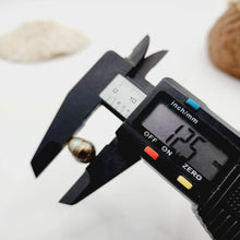 Load image into Gallery viewer, Civa Fiji Saltwater Loose Pearl - FJD$