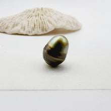 Load image into Gallery viewer, Civa Fiji Saltwater Loose Pearl - FJD$