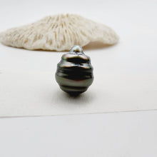 Load image into Gallery viewer, Civa Fiji Saltwater Loose Pearl - FJD$