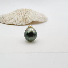 Load image into Gallery viewer, Civa Fiji Saltwater Loose Pearl - FJD$