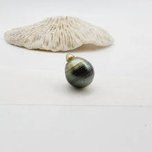 Load image into Gallery viewer, Civa Fiji Saltwater Loose Pearl - FJD$