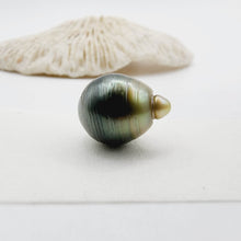 Load image into Gallery viewer, Civa Fiji Saltwater Loose Pearl - FJD$